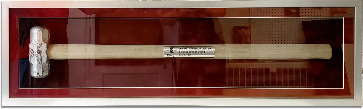 Framed artwork — a completed project by Madam Miter