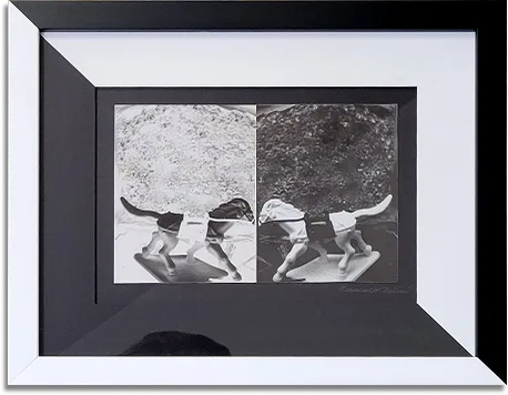 Framed artwork — a completed project by Madam Miter